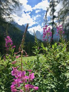 Der Blick auf den Zwölferkofel aus dem Fischleintal in den Dolomiti Dolomiten