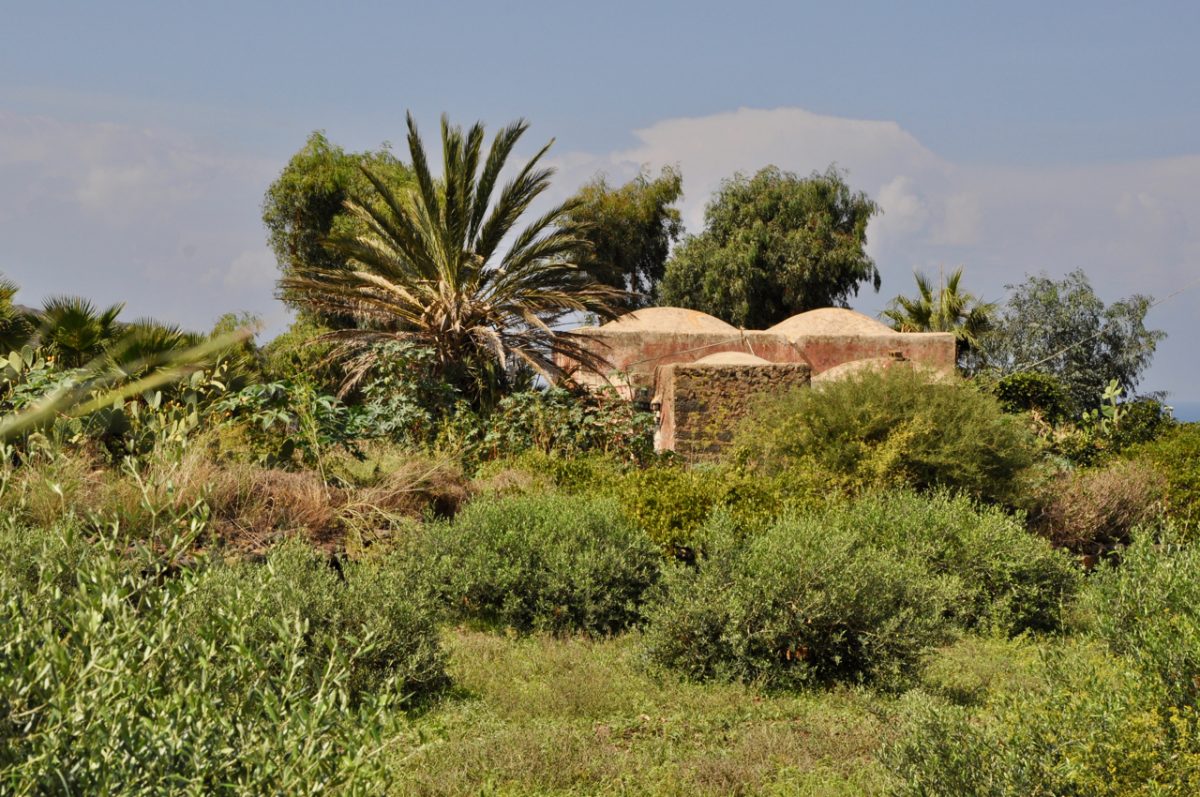 Ein Dammuso mit Palmen auf Pantelleria in der Nähe des Lago Specchio di Venere